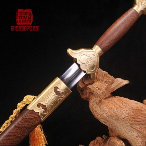 Kiếm hán Tập võ thuật B2