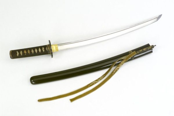 Kiem Nhat Wakizashi